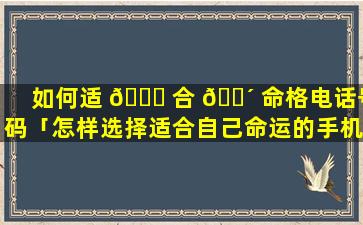 如何适 🐅 合 🌴 命格电话号码「怎样选择适合自己命运的手机号」